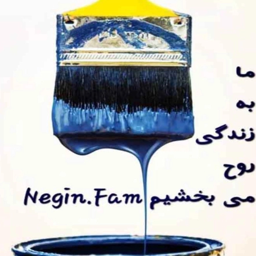 1735363512377.webp