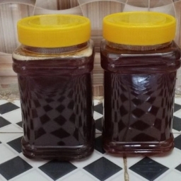 پخش مهدی