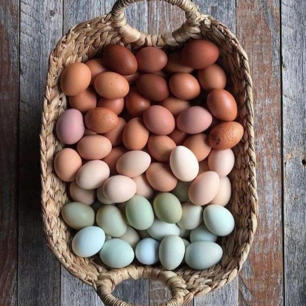 1736589215154.webp