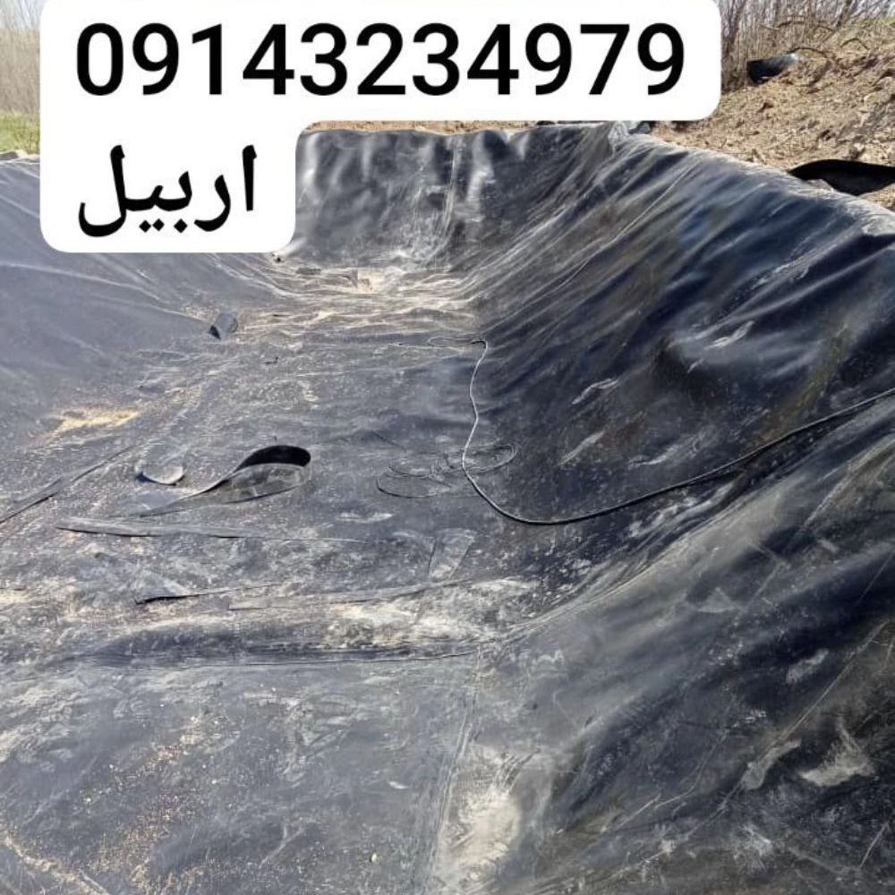 1740474307250.webp
