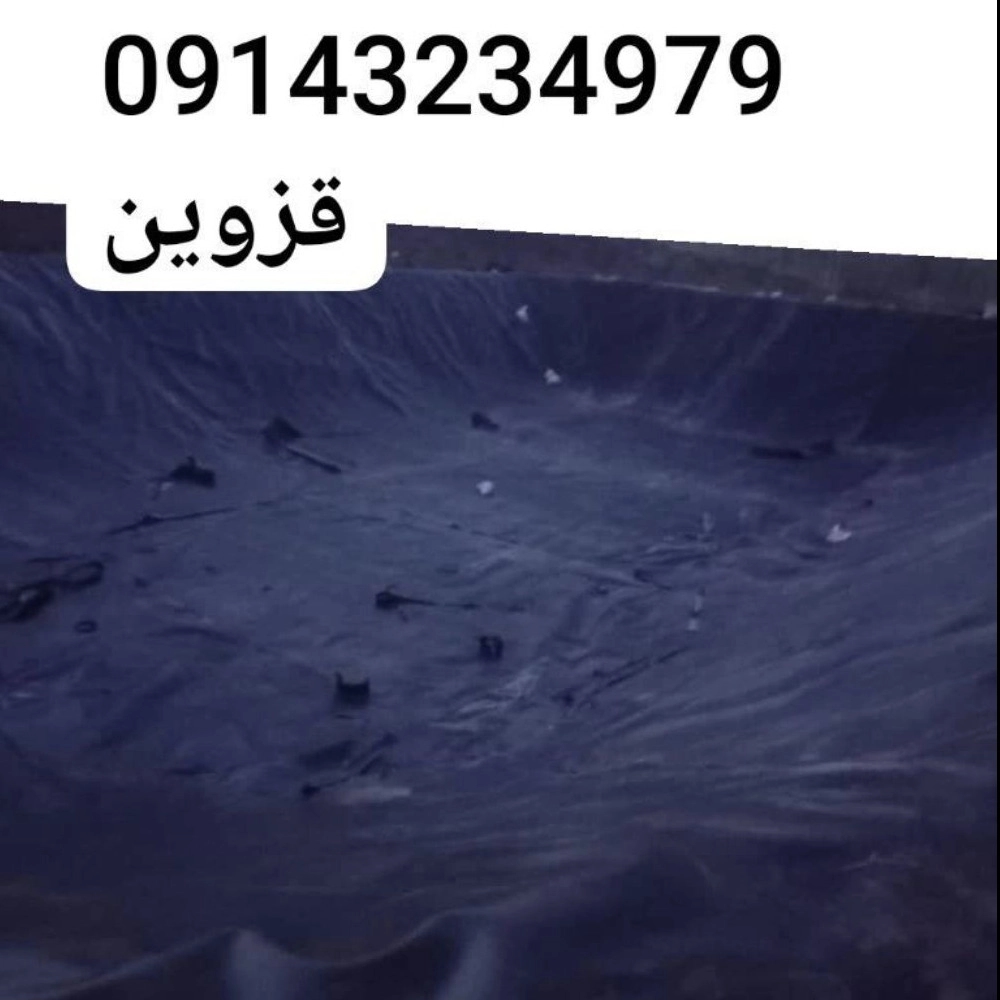 1740474326076.webp