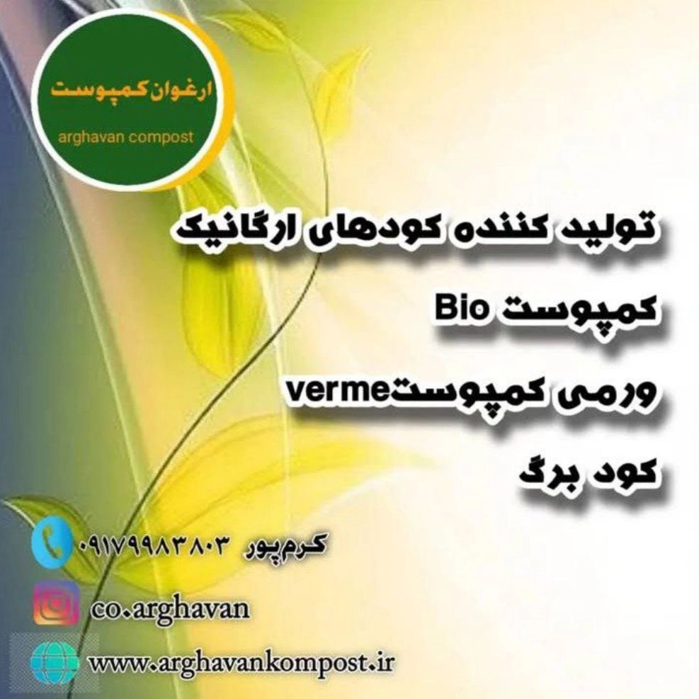 1740896211650.webp
