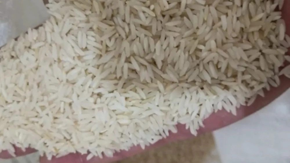 قیمت و خرید اینترنتی برنج ممان میانه و علی کاظمی از پخش سید در محمدشهر