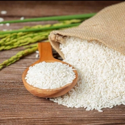 ارگانیک مارکت