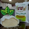 تولیدی شاهکارپک
