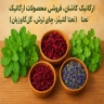 ارگانیک نوین