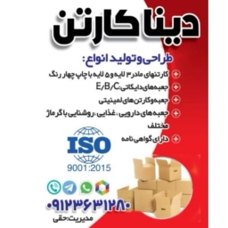 دینا کارتن