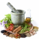 شهرانوش، تامین و توزیع گیاهان دارویی در شیراز