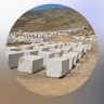 گلدن اسپایدر معدن