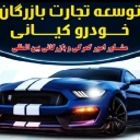 توسعه تجارت بازرگان خودرو کیانی، واردات صادرات خودرو در هرمزگان