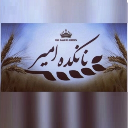 نانکده امیر