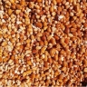 خشکبار گلستان