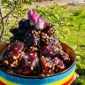فروشگاه نخل کارون