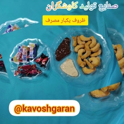 گروه صنعتی کاوشگران