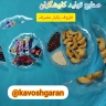 گروه صنعتی کاوشگران