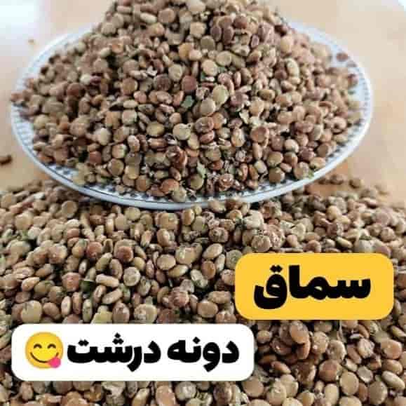 سماق دانه درشت