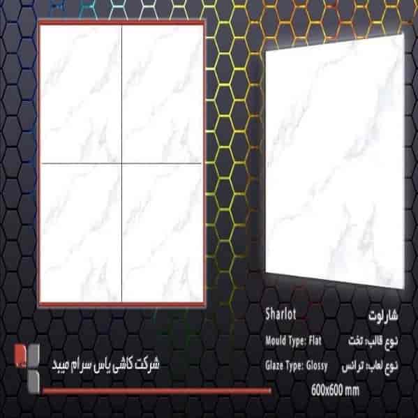 شارلوت