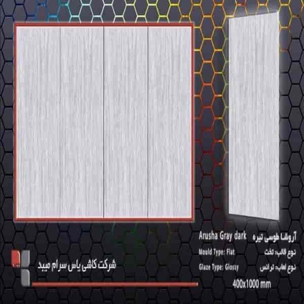 آروشا طوسی تیره