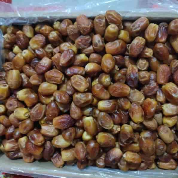 خرمای زاهدی