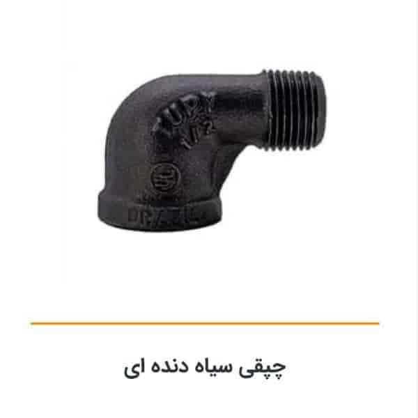 چپقی سیاه دنده ای