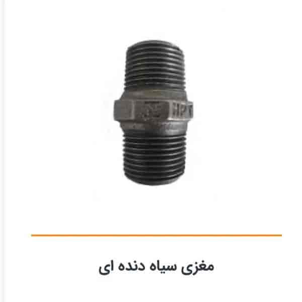 مغزی سیاه دنده ای