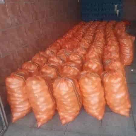 پیاز خشک