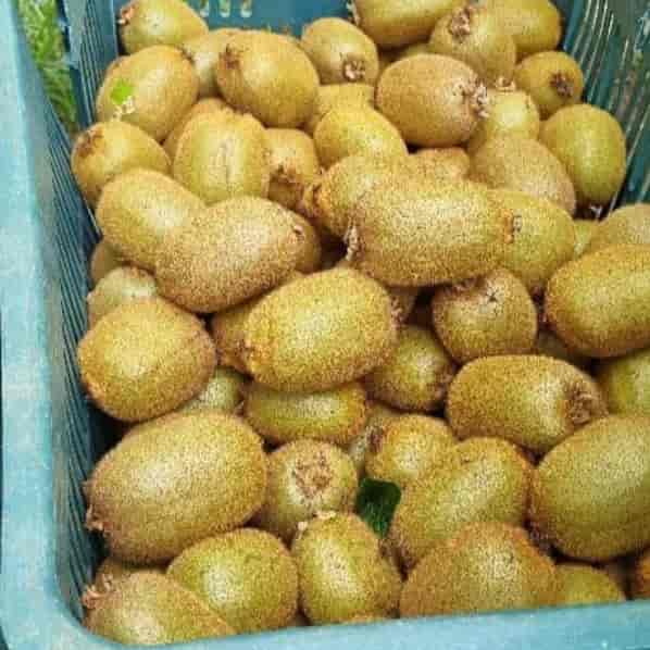 کیوی
