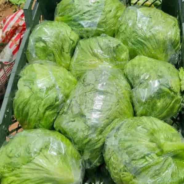 کاهو پیچ