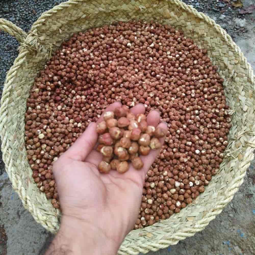 فندق خام پوست کنده