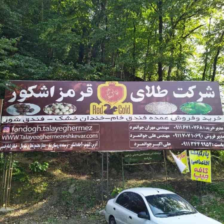 فندق خام، خندان خشک و فندق شور