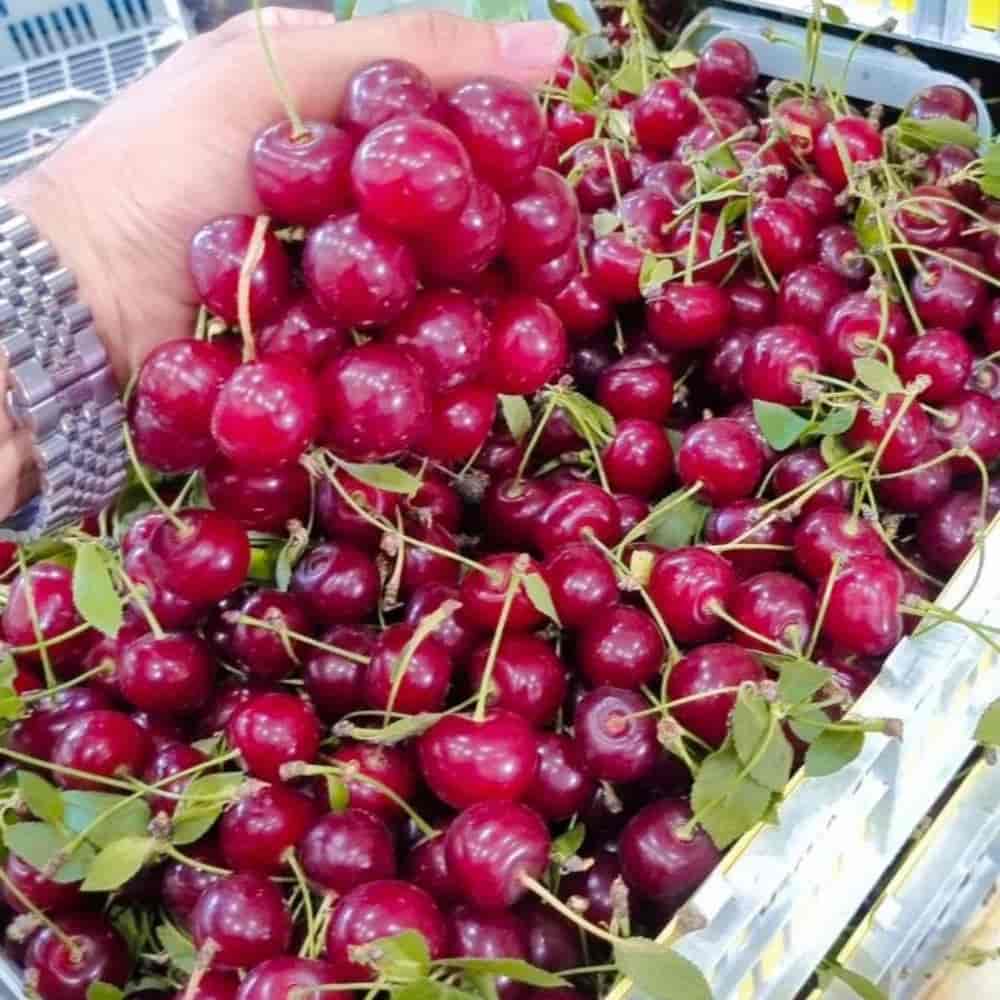 آلبالو