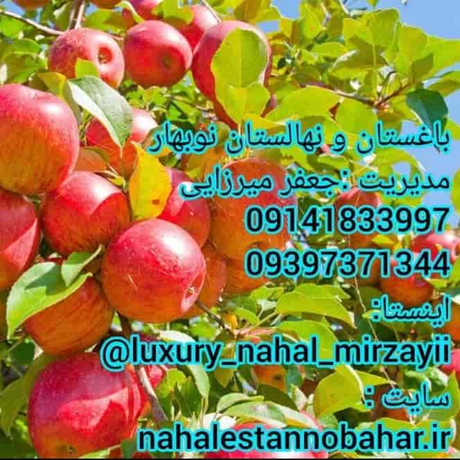 نهالستان و باغستان نوبهار