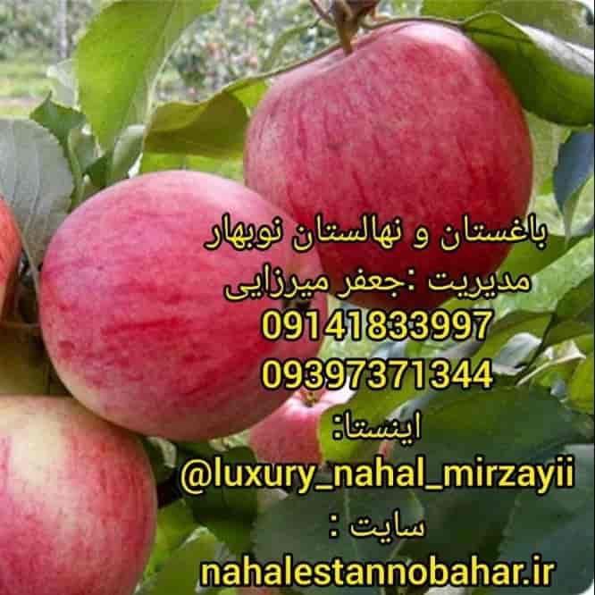 نهالستان و باغستان نوبهار