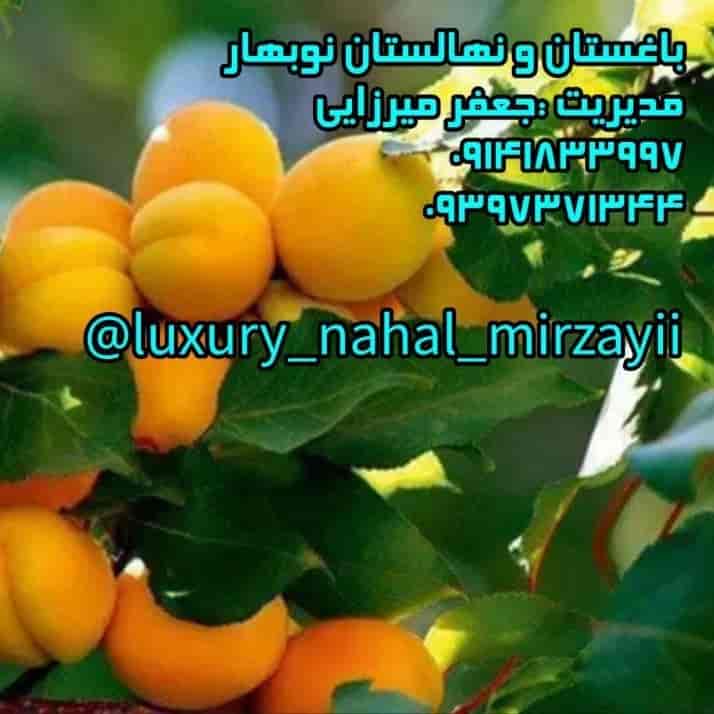 نهالستان و باغستان نوبهار