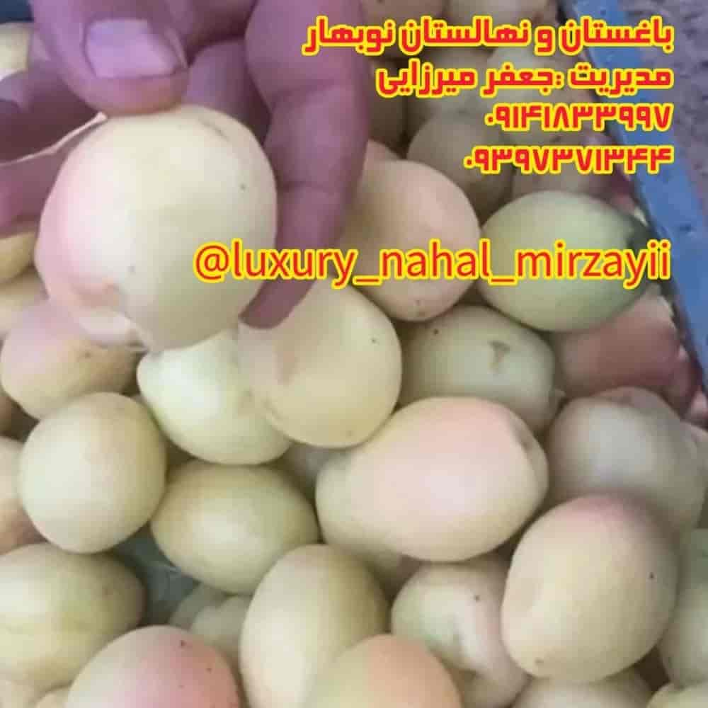 نهالستان و باغستان نوبهار