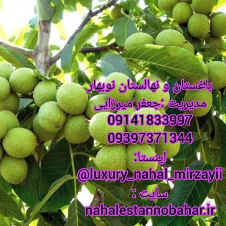 نهالستان و باغستان نوبهار