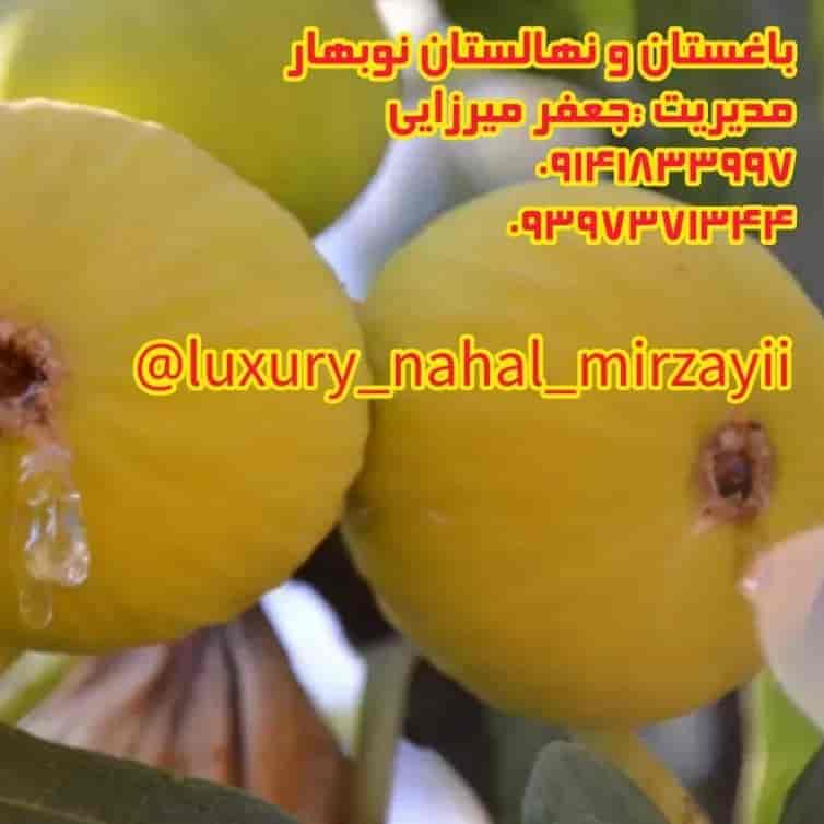 نهالستان و باغستان نوبهار