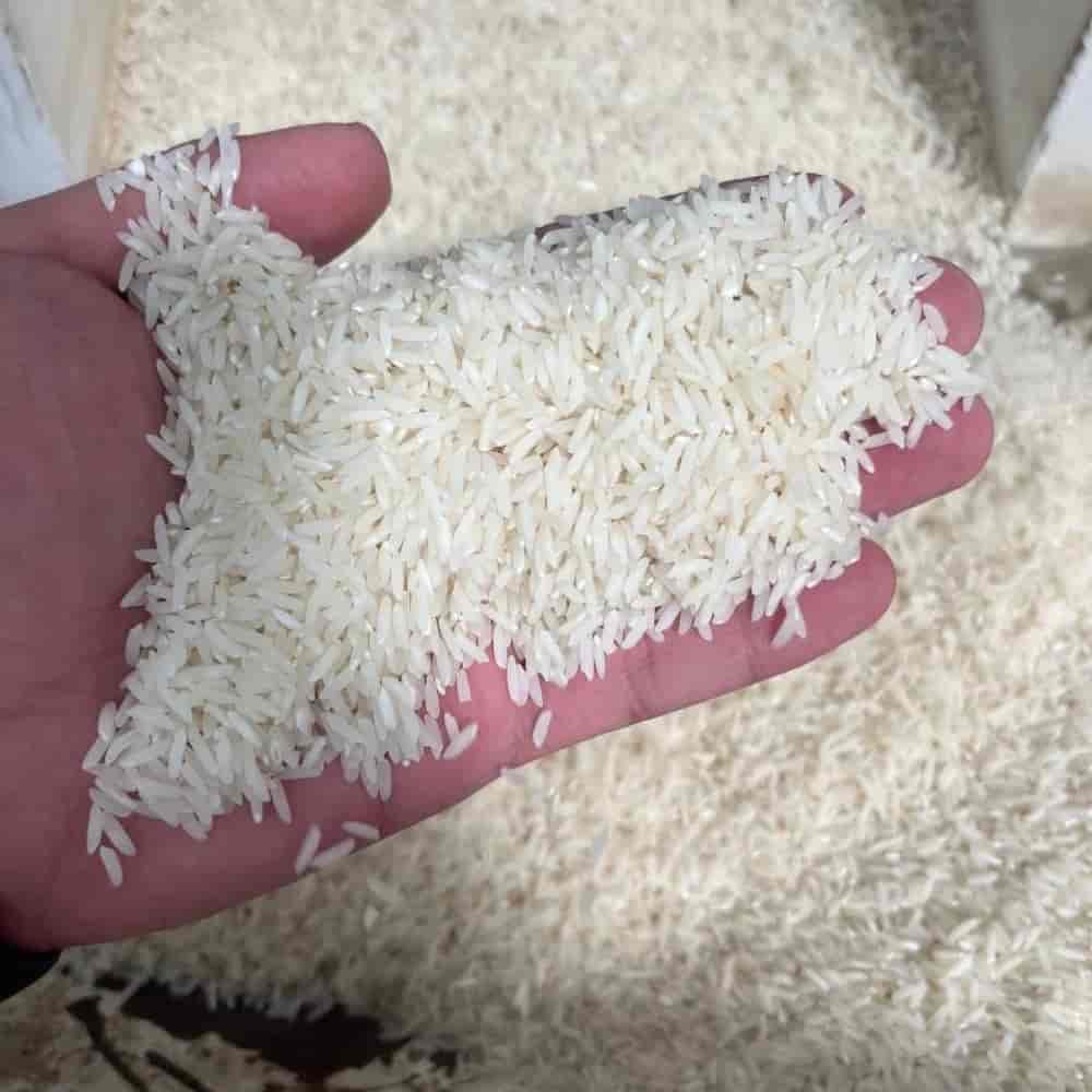 برنج شمال