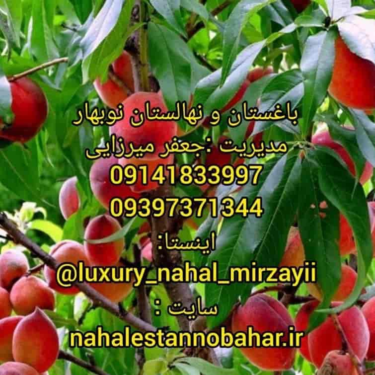 نهالستان و باغستان نوبهار
