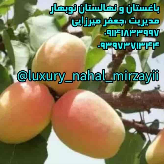نهالستان و باغستان نوبهار
