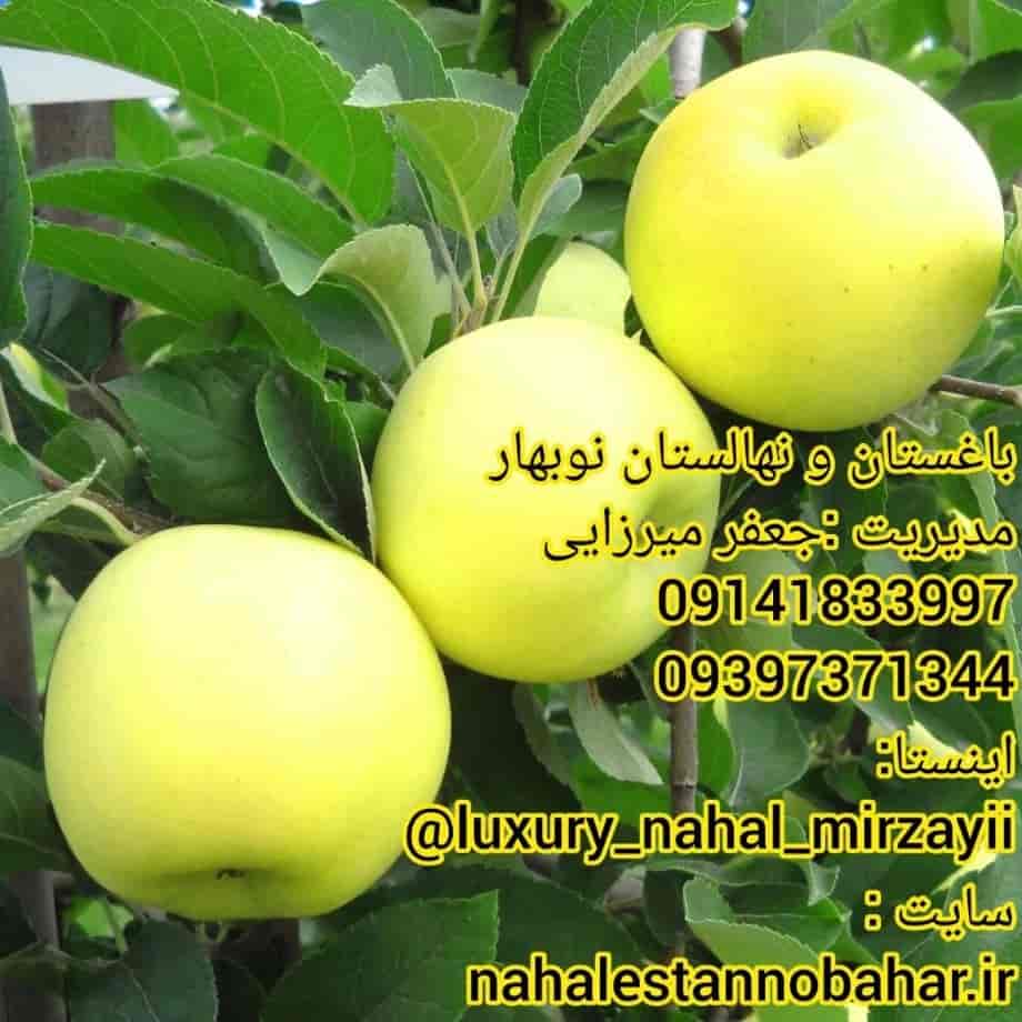 نهالستان و باغستان نوبهار