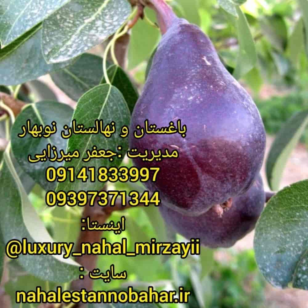 نهالستان و باغستان نوبهار