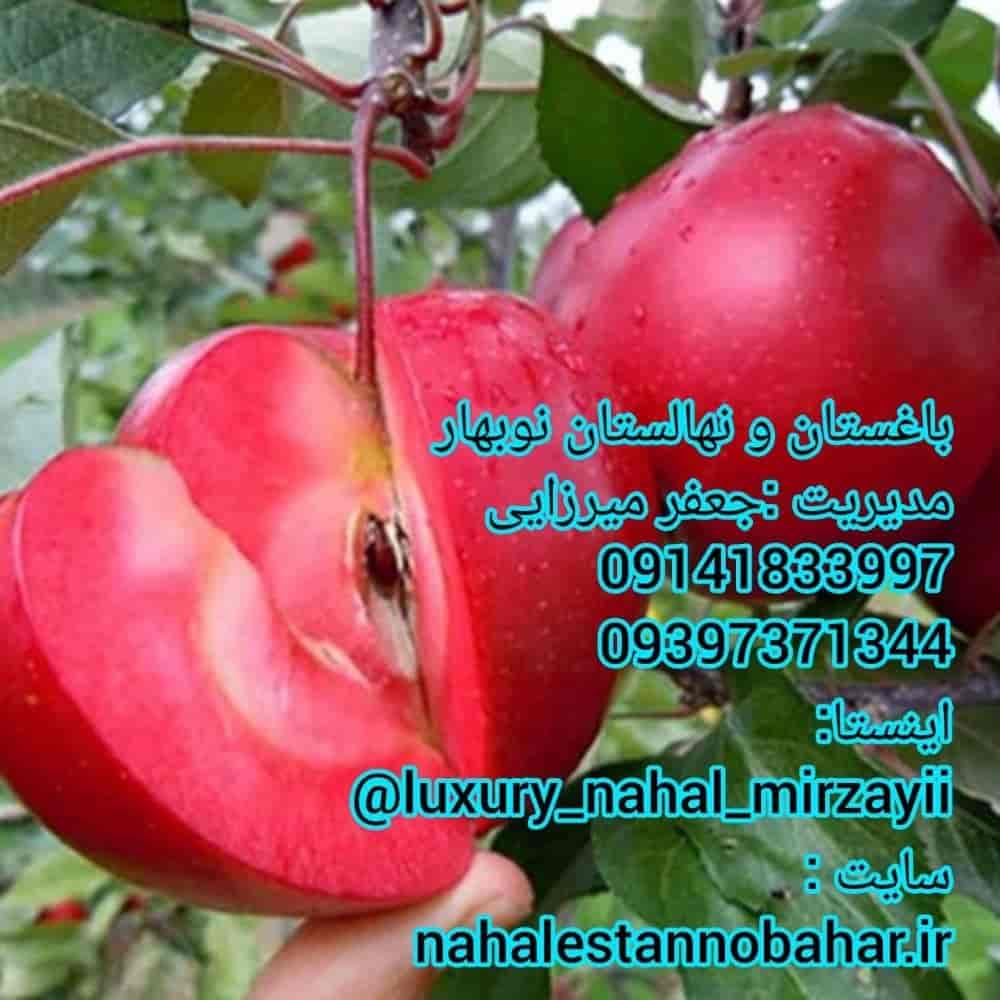 نهالستان و باغستان نوبهار