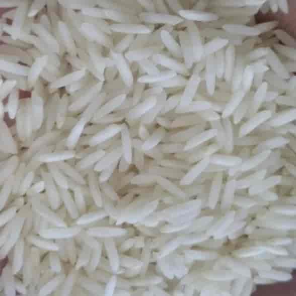 برنج شیرودی