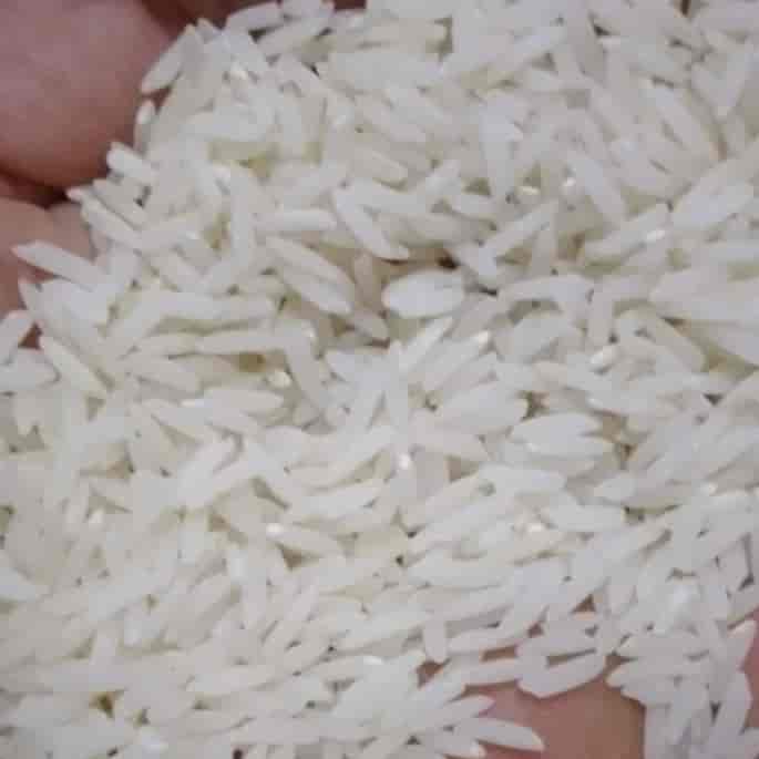 طارم هاشمی