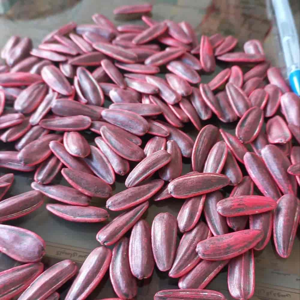 بذرآفتابگردان تی۶