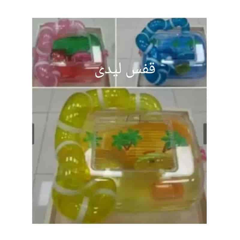 قفس لیدی