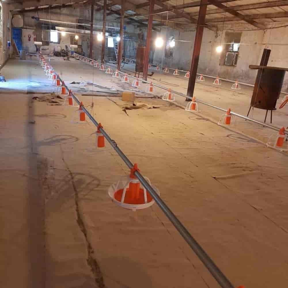 دانخوری و آبخوری تمام اتومات بوقلمون