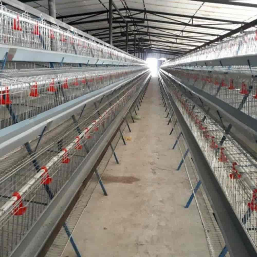 قفس منبری ۳ طبقه