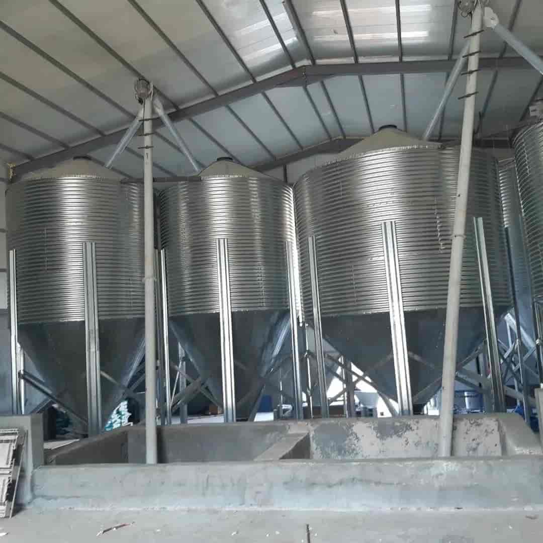سیلوی ذخیره دان